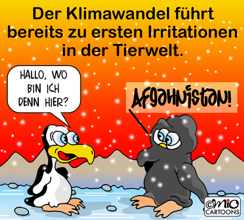 Cartoon: Irritation (medium) by MiO tagged afghanistan,mio,burka,klimawandel,pinguin
