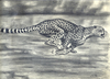 Cartoon: Gepard (small) by Gocha Dzaganashvili tagged gocha dzaganashvili animals drawing painting gepard