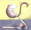 Cartoon: Die harte Nuss (small) by lerimo tagged lerimo,bilch,nuss,knacken
