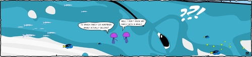 Cartoon: ..familiar whale.. (medium) by Jester Elly tagged whale,reef,coral,animals,ocean,strip,comic