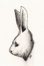 Cartoon: Cute Rabbit (small) by vokoban tagged pen,and,ink,doodle,drawing,scribble,pencil