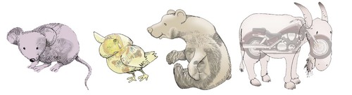 Cartoon: animaLs (medium) by gamez tagged animal,bear,motorbike,niang