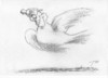 Cartoon: La Paix (small) by tunin-s tagged dove