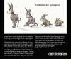 Cartoon: Der Springesel (small) by Carlo Büchner tagged esel,hase,springen,evolution