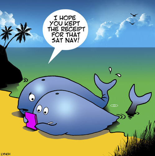 Cartoon: Beached whales (medium) by toons tagged beached,whales,sat,nav,directions,receipts,direction,finder,animals,maps,beached,whales,sat,nav,directions,receipts,direction,finder,animals,maps