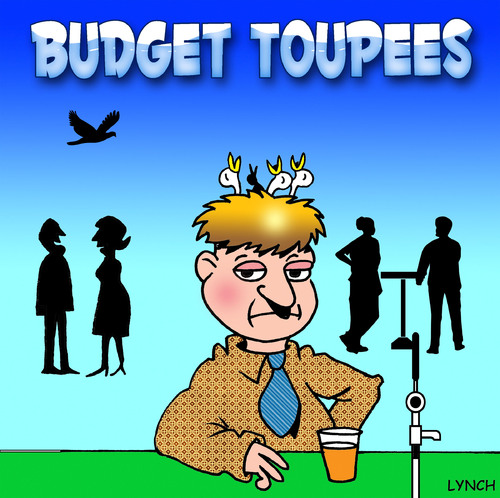 Cartoon: budget toupee (medium) by toons tagged toupee,wig,birds,nest