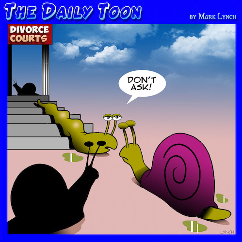 Cartoon: Divorce cartoon (medium) by toons tagged snails,slugs,divorce,lost,the,house,settlement,courts,snails,slugs,divorce,lost,the,house,settlement,courts