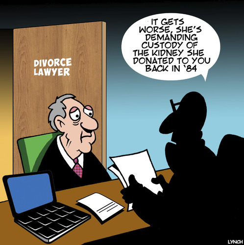 Cartoon: Divorce lawyer (medium) by toons tagged organ,donors,divorce,lawyers,kidney,donor,settlement,organ,donors,divorce,lawyers,kidney,donor,settlement