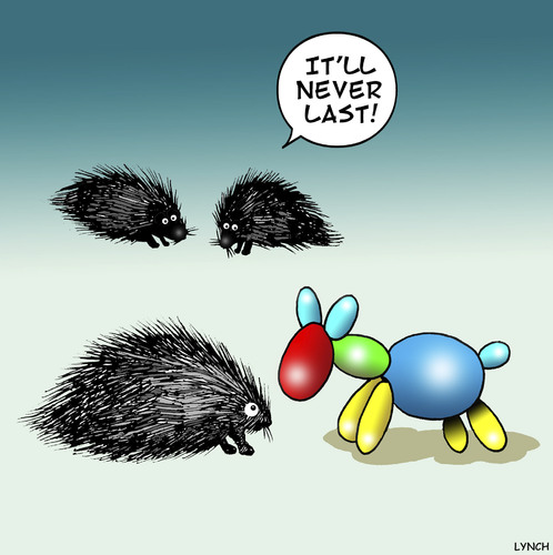 Cartoon: Doomed from the start (medium) by toons tagged porcupine,hedgehog,balloon,animals,balloons,porcupine,hedgehog,balloon,animals,balloons