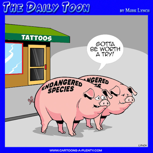 Cartoon: Endangered species (medium) by toons tagged tattoos,bacon,endangered,animals,species,tattoos,bacon,endangered,animals,species