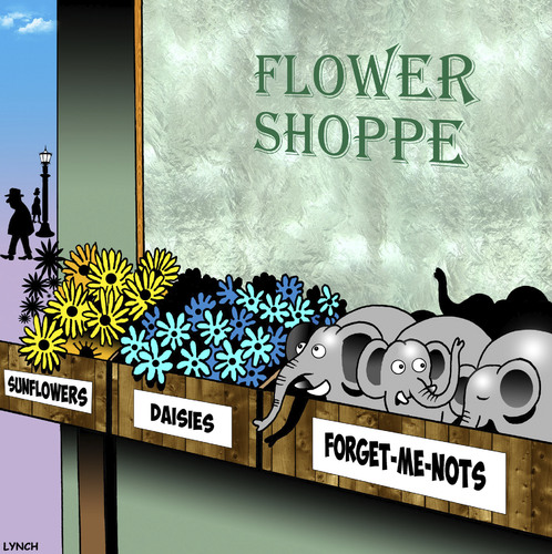 Cartoon: Forget-me-nots (medium) by toons tagged daisies,nots,me,forget,elephants,flowere,shop,flower,florist,sunflowers,flowere,elephants,forget,me,nots,daisies,sunflowers,florist,flower,shop