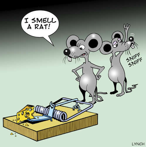 Cartoon: I smell a rat (medium) by toons tagged rats,mousetrap,cheese,hygene