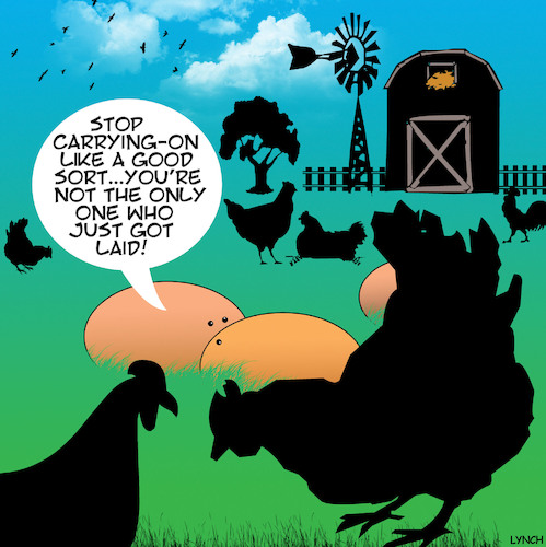 Cartoon: Just got laid (medium) by toons tagged farm,animals,chickens,chooks,eggs,free,range,farm,animals,chickens,chooks,eggs,sex,free,range
