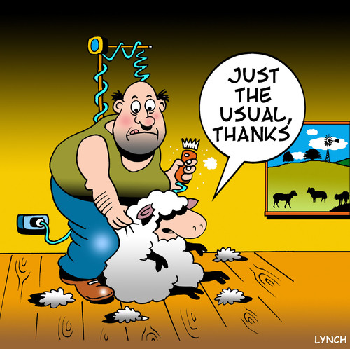 Cartoon: just the usual (medium) by toons tagged shearing,sheep,wool,haircut,barber,farm,animals