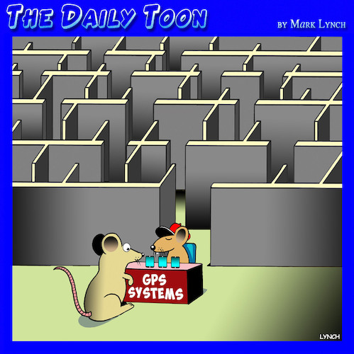 Cartoon: Maze (medium) by toons tagged medical,experiments,mice,maze,gps,system,sat,nav,medical,experiments,mice,maze,gps,system,sat,nav