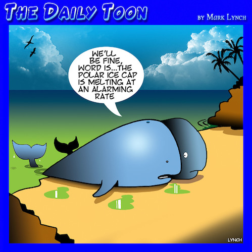 Cartoon: Melting ice caps (medium) by toons tagged beached,whales,melting,ice,caps,global,warming,beached,whales,melting,ice,caps,global,warming