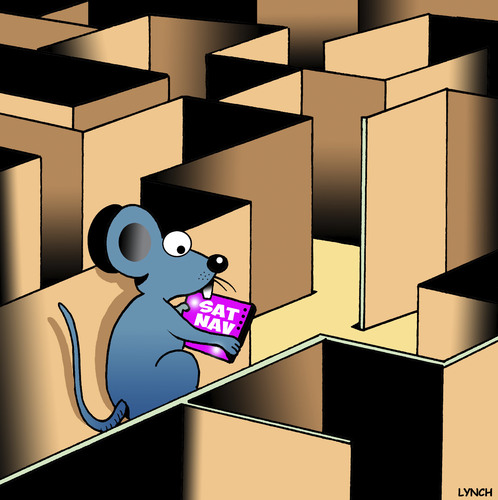 Cartoon: Navigation system (medium) by toons tagged sat,nav,gps,navigation,system,lab,rat,mice,maze,sat,nav,gps,navigation,system,lab,rat,mice,maze