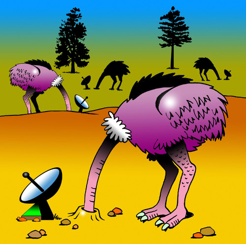 Cartoon: ostrich tv (medium) by toons tagged ostrich,birds,flightless,tv,pay,cable,radar,satellite,dish,entertainment,video,dvd,disc