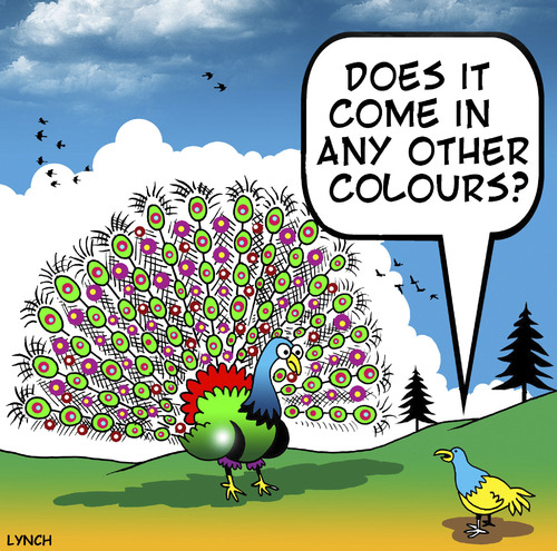 Cartoon: other colours (medium) by toons tagged peacocks,courting,dating,fussy