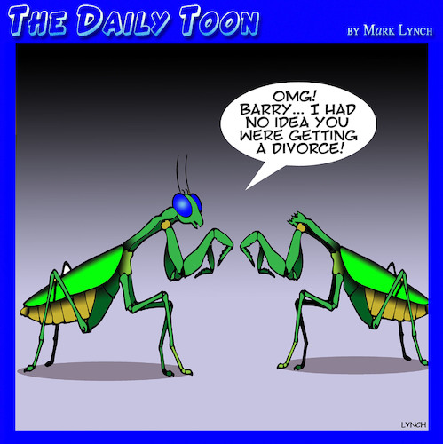 Cartoon: Praying Mantis (medium) by toons tagged praying,mantis,beheaded,insects,praying,mantis,beheaded,insects