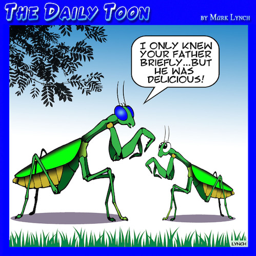 Cartoon: Praying Mantis (medium) by toons tagged insects,eat,their,young,insects,eat,their,young