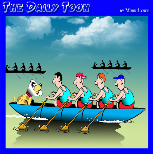 Cartoon: Rowing Cox (medium) by toons tagged rowing,cox,olympics,dogs,rowing,cox,olympics,dogs