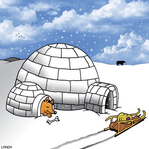 Cartoon: separate accommodation (medium) by toons tagged husky,igloo,antarctic,north,pole,eskimo
