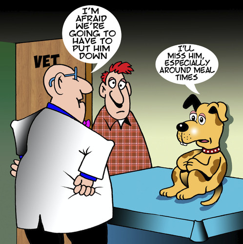 Cartoon: Vet (medium) by toons tagged illness,friend,best,mans,dogs,vet,euthenasia,euthenasia,vet,dogs,mans,best,friend,illness