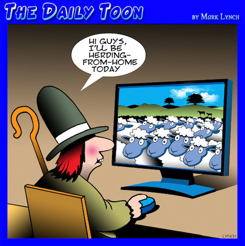 Cartoon: Work from home (medium) by toons tagged sheep,herder,working,from,home,shepard,sheep,herder,working,from,home,shepard