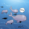 Cartoon: MiPod (small) by toons tagged whales,ipod,ipad,itunes,fish,whaling