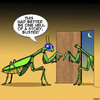 Cartoon: Praying mantis (small) by toons tagged infidelity,praying,mantis,insects