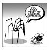 Cartoon: spider website (small) by toons tagged spiders insects flys website computers animals