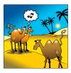 Cartoon: wolf whistle (small) by toons tagged wolf,whistle,camels,relationships,desert,love,breasts,arabia,bra,harrassment,sex,sexual