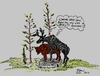 Cartoon: Darwin Fail (small) by Toonstalk tagged darwin,moose,statue,fail,stupid,idiot,horney,mating,nature