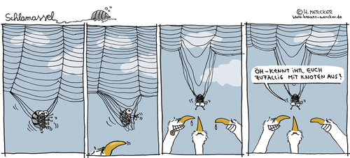 Cartoon: Schlamassel Nr 38 (medium) by H Mercker tagged assel,gefahr,netz,schlamassel,spinne,spinnennetz,tiere,tierwelt,tod,vogel,vögel