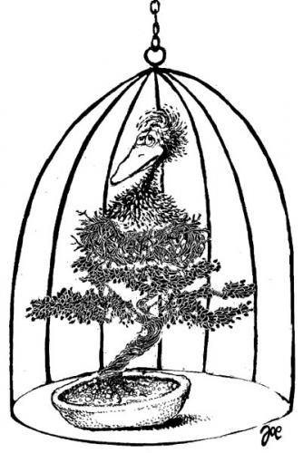 Cartoon: bonsai (medium) by bekesijoe tagged cartoon,,käfig,singvogel,haustier,bonsai,wachstum,wachstumshemmung,gefangenschaft,freiheit,eingesperrt,freiheitsraub,gefängnis,gitter,qual