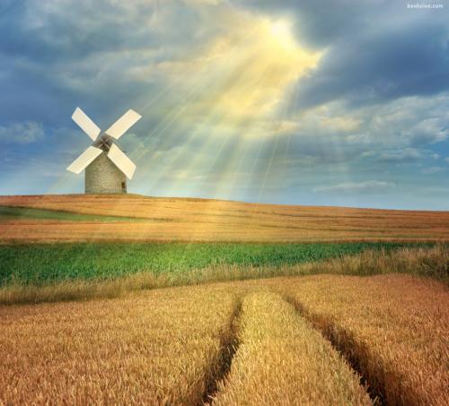 Cartoon: The Magic Windmill (medium) by BenHeine tagged windmill,moulin,vent,ben,heine,countryside,field,ble,summer,light,luminosity,magic,lumiere,campagne,bread,pain,corn,champs,sun,sunrays,rayons,soleil,perspective,horizon,traces,tractor,farm,ferme,fermier,farmer,peaceful,nos,poem,poet,peter,quinn