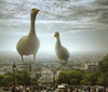 Cartoon: I Have Also Seen This in Paris (small) by BenHeine tagged paris,france,montmartre,hill,people,crowd,foule,scary,funny,wallpaper,highres,poster,science,fiction,humor,scale,echelle,invasion,aliens,duck,bird,animal,photo,manipulation,light,lumiere,tourism,ben,heine,art,family,together,district,texture,canard,copyri
