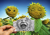 Cartoon: Pencil Vs Camera - 62 (small) by BenHeine tagged pencil,vs,camera,pencilvscamera,art,ben,heine,benheine,drawing,photography,imagination,reality,surrealism,augmented,sketch,sunflower,family,flowers,baby,cry,shout,nature,santiago,spain