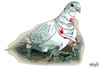 Cartoon: First aid (small) by bacsa tagged dove,of,peace