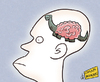 Cartoon: Dino Brain (small) by omomani tagged brain,dinosaur