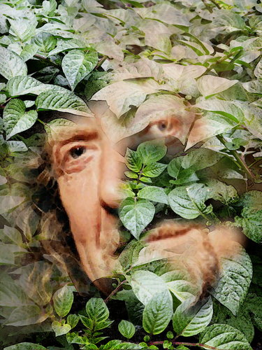 Cartoon: Robert Plant! (medium) by willemrasingart tagged great,personalities
