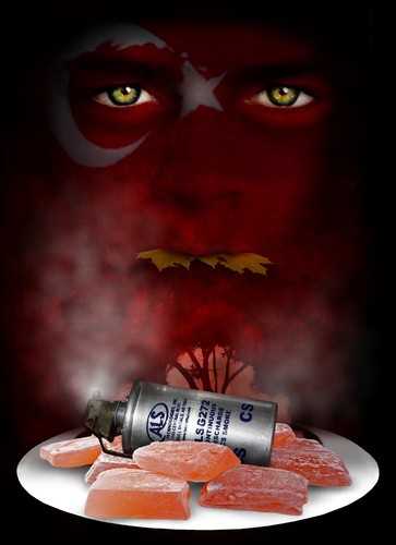 Cartoon: Turkish delight (medium) by willemrasingart tagged turkey,2013