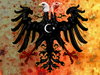 Cartoon: German Turkish eagle! (small) by willemrasingart tagged turkey
