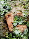 Cartoon: Robert Plant! (small) by willemrasingart tagged great,personalities