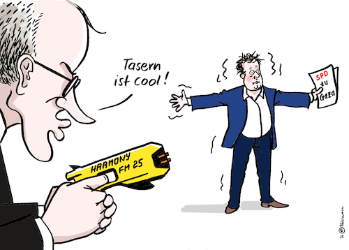 Merz tasert