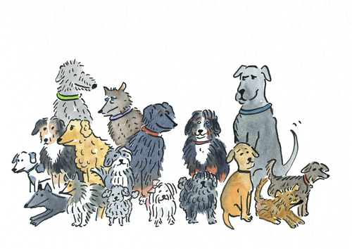 Cartoon: Hunde Rudel (medium) by sabine voigt tagged hund,gassi,spatziergang,natur,hunde,rudel,agility,gehorsam,haustier