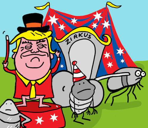 Cartoon: trump zirkus (medium) by sabine voigt tagged trump,zirkus,politik,usa,regierung,zolle,handelszölle,gesetze,handelskrieg,flohzirkus,trump,zirkus,politik,usa,regierung,zolle,handelszölle,gesetze,handelskrieg,flohzirkus