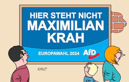 AfD-Wahlplakat