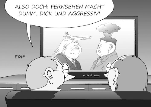 Fernsehen Fernsehen